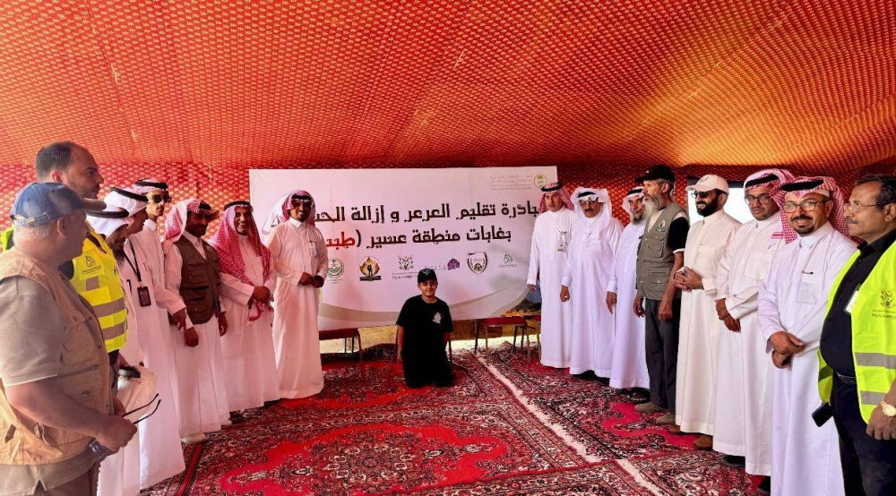 تقليم أشجار العرعر في غابات عسير: بدء الأعمال