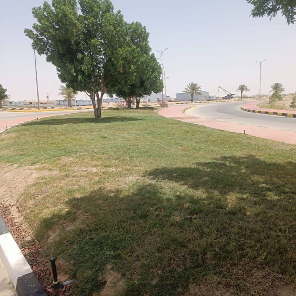 تطوير المساحات الخضراء في القليب: مبادرة لتجميل المدينة