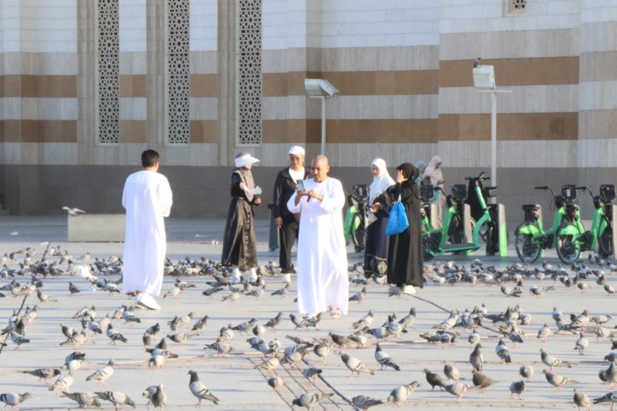 اكتشف جاذبية الروثانة: وجهة سياحية في المدينة المنورة