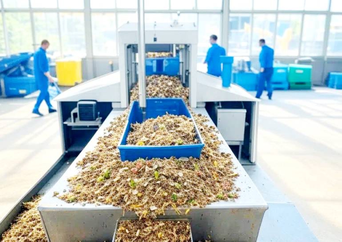 تحويل النفايات الزراعية إلى ثروة: خطة شاملة ومستدامة