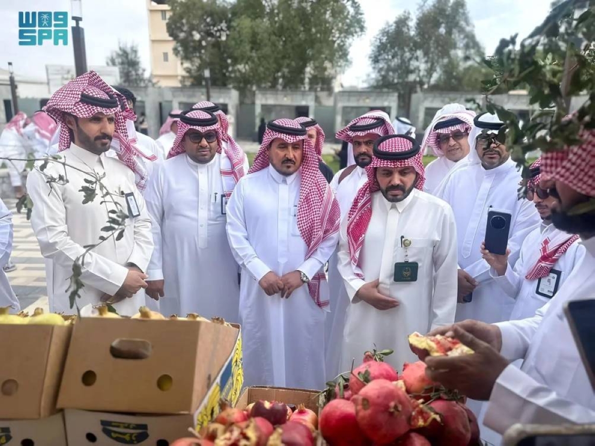 رمان عسير: رمز الطبيعة ودعم الأسر المنتجة