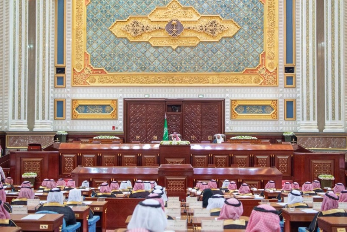 رسالة ولي العهد للعقاريين وتجار الأراضي: هل فهمت؟