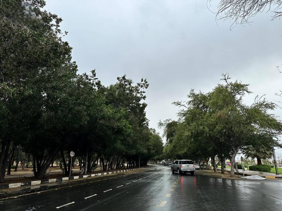أمطار غزيرة تضرب نجران: تحذيرات الأرصاد الجوية