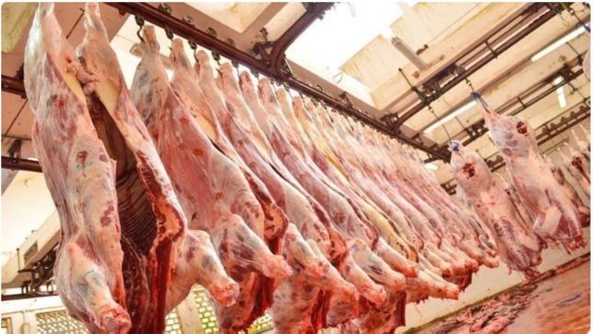 إلزام منشآت اللحوم بالربط الإلكتروني للحرارة في أكتوبر