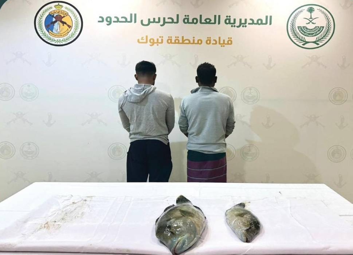 ضبط مخالفين للوائح الأمن البحري في تبوك