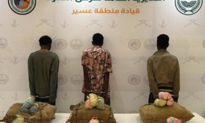 حرس الحدود يضبط 3 مهربين و45 كغ قات بمحاولة تهريب