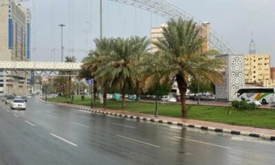 توقعات الأرصاد: أمطار متوسطة تضرب مناطق محددة