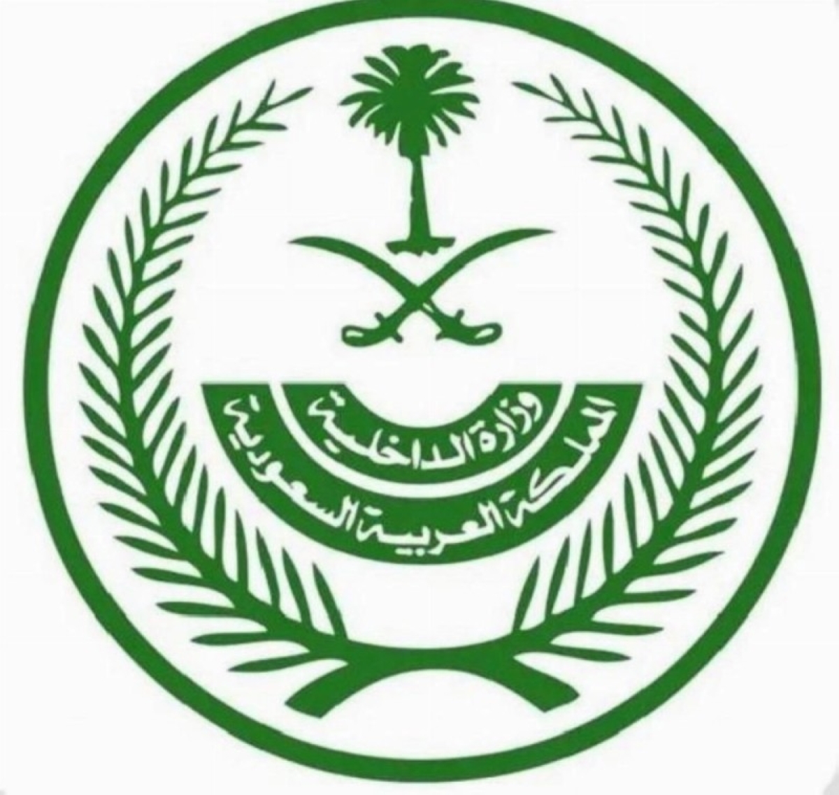 تنفيذ حكم القتل تعزيراً بجانيين في نجران السعودية