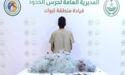 ضبط مخالفة لائحة الأمن والسلامة البحرية في تبوك