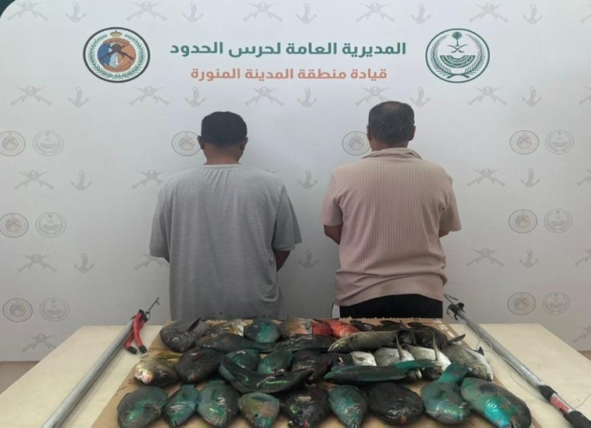 ضبط مخالفات الأمن والسلامة للأنشطة البحرية بالمدينة