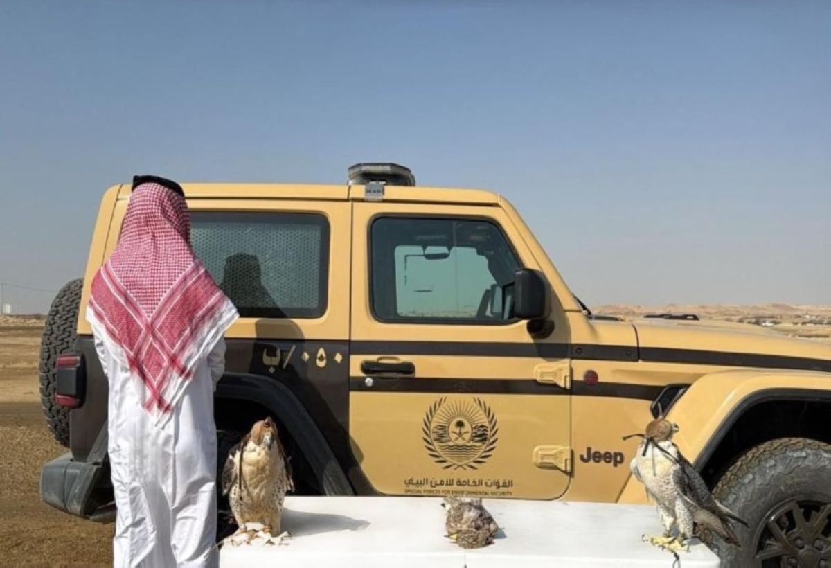 القبض على مخالف لنظام البيئة في المدينة المنورة