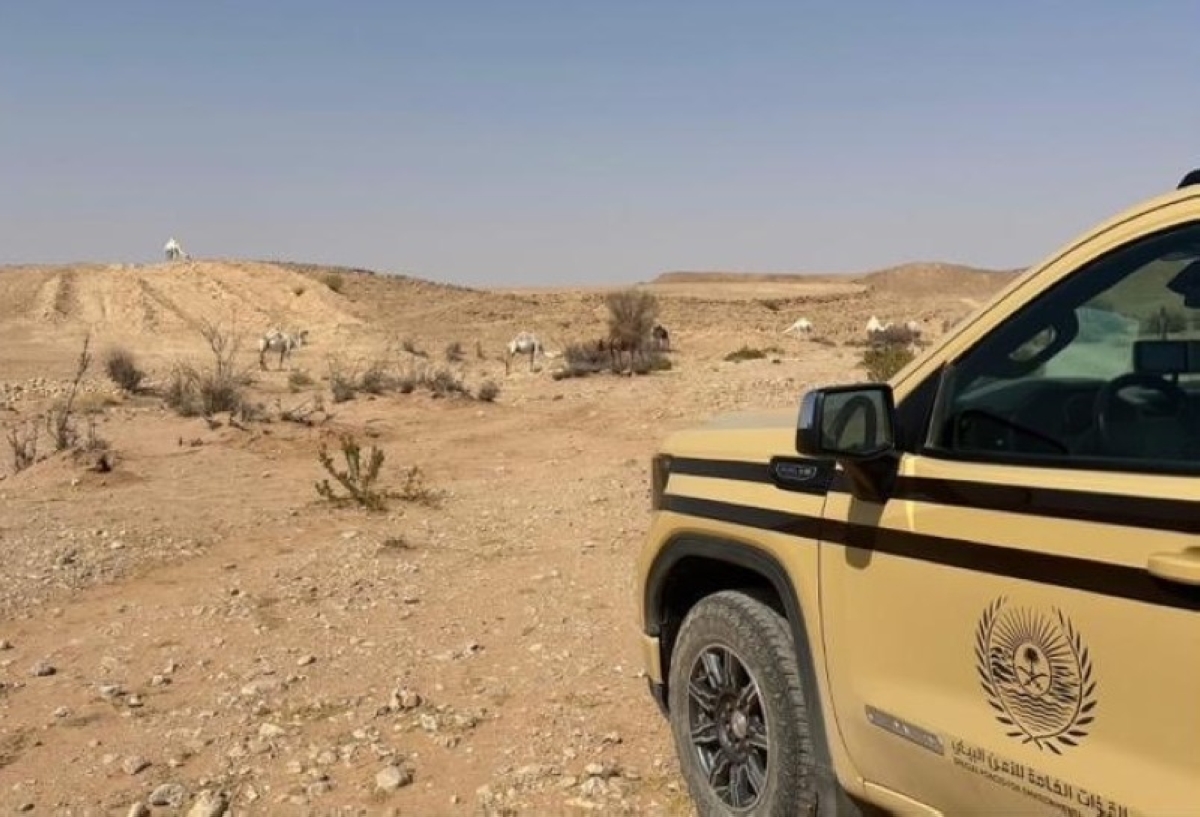 ضبط مواطن لمخالفة رعي في محمية الملك عبدالعزيز