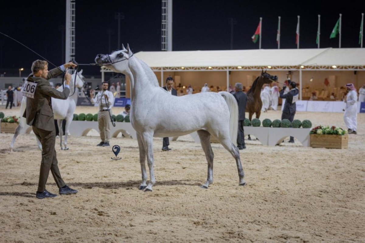 بطولة جمال الخيل العربية الأصيلة 2025: اختتام ناجح