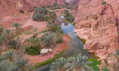 اكتشف جمال حائل: مناظر طبيعية تأسر العالم