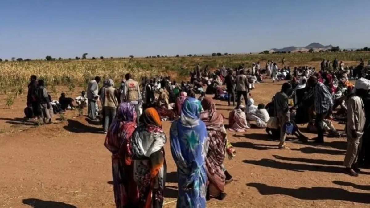 مصر تعلن رفضها لتقسيم السودان: موقف حازم وواضح