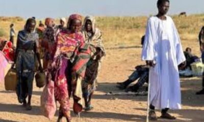 نزوح جماعي من شمال كردفان بسبب توسع الحرب