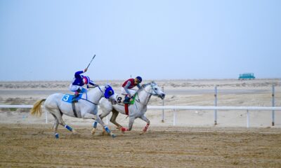 فروسية الجبيل تنظم سباقها الثاني للموسم وسط تنافس قوي