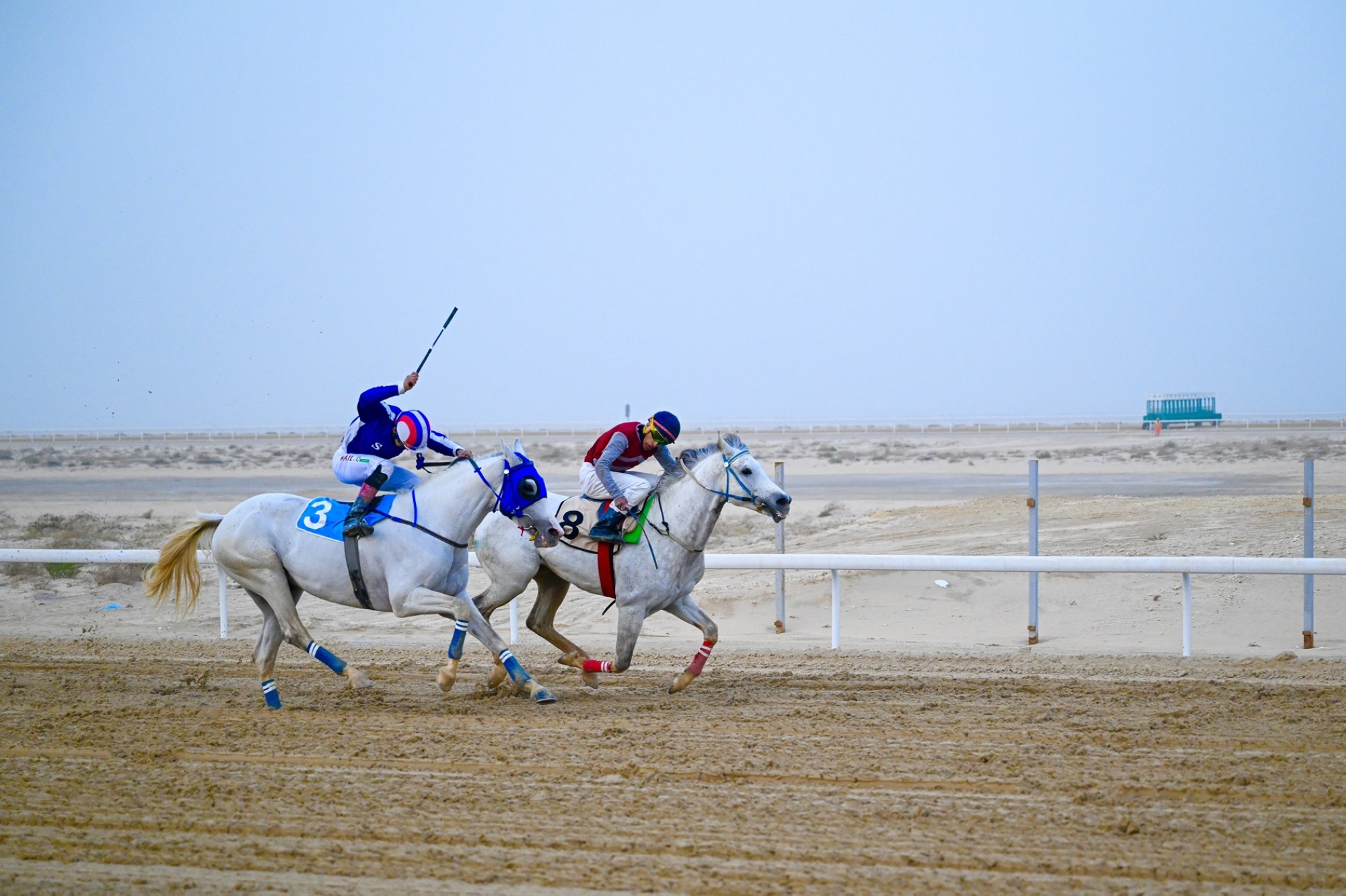 فروسية الجبيل تنظم سباقها الثاني للموسم وسط تنافس قوي