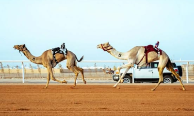 سباق الراكب البشري 2026: تنافس دولي وجوائز ضخمة بالرياض