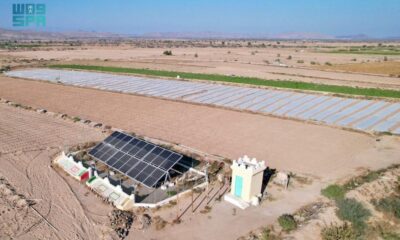 مشاريع سعودية تنموية في أبين لتعزيز الصحة والتعليم والمياه