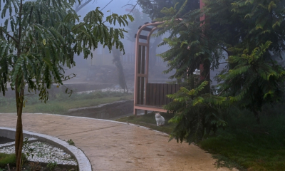 توقعات الطقس: أمطار ورياح نشطة على مرتفعات السعودية