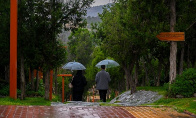 طقس السعودية: موجة برد وأمطار وضباب في 7 مناطق رئيسية