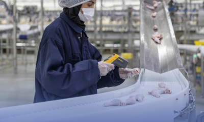 سعودي قاب: 90% من إنتاج الدواجن بالمملكة يعزز الأمن الغذائي