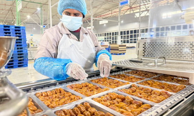 التمور السعودية تتوسع عالميًا في 14 دولة تحقيقًا لرؤية 2030