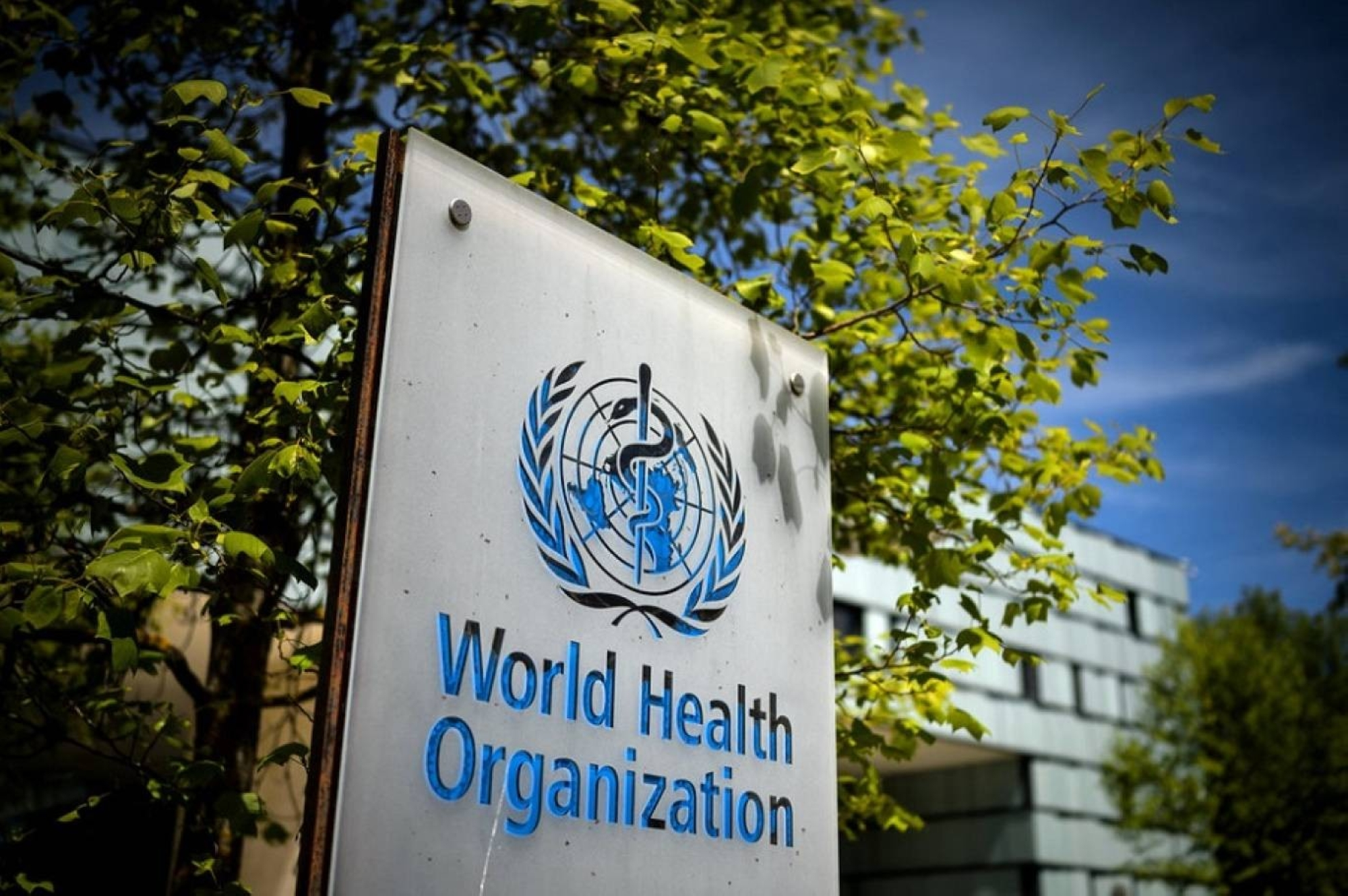 America's withdrawal from the World Health Organization: reasons and consequences