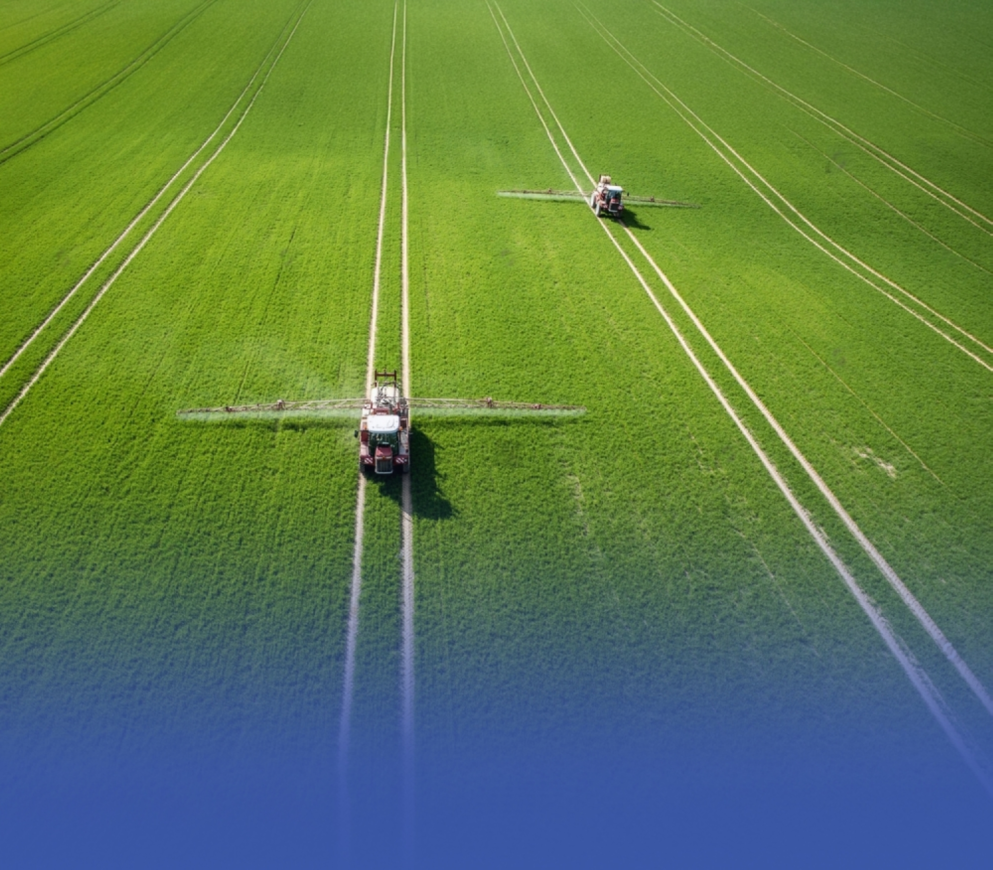 إيقاف زراعة الأعلاف المعمرة بالسعودية للحفاظ على المياه الجوفية