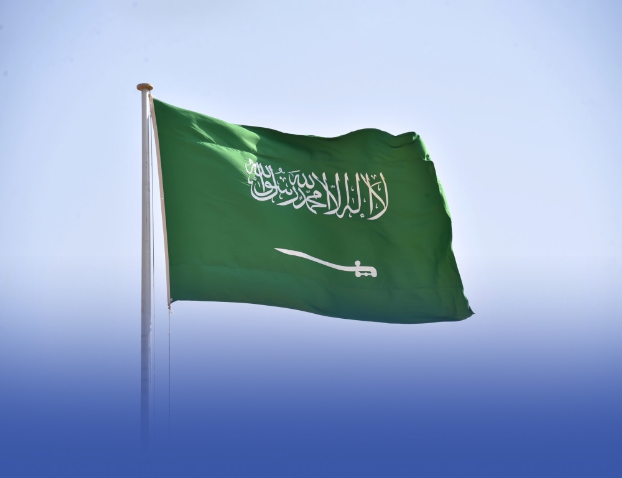 Arab and Islamic condemnation of Israeli violations in the Gaza Strip