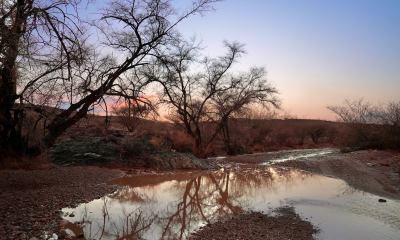 طقس السعودية اليوم: أمطار رعدية وغبار على 5 مناطق