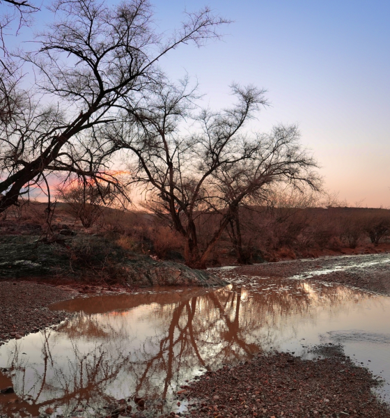 طقس السعودية اليوم: أمطار رعدية وغبار على 5 مناطق