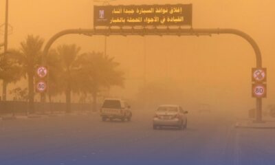 حالة الطقس اليوم: رياح نشطة وأتربة وضباب على 7 مناطق سعودية