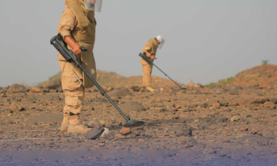 مسام ينتزع 840 لغماً في اليمن: تقرير الأسبوع الثاني من فبراير 2026