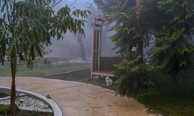 توقعات طقس السعودية اليوم: أمطار وضباب وغبار