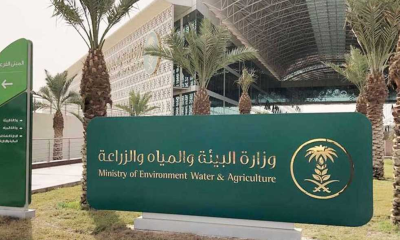 البيئة تتلف 58 ألف كجم أغذية وتكثف الرقابة لرمضان