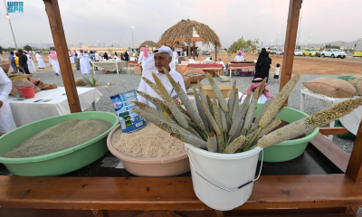 Local millet: A healthy and strategic choice for Ramadan tables