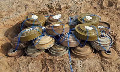 إنجاز جديد لمشروع مسام: نزع 1765 لغماً في اليمن بأسبوع